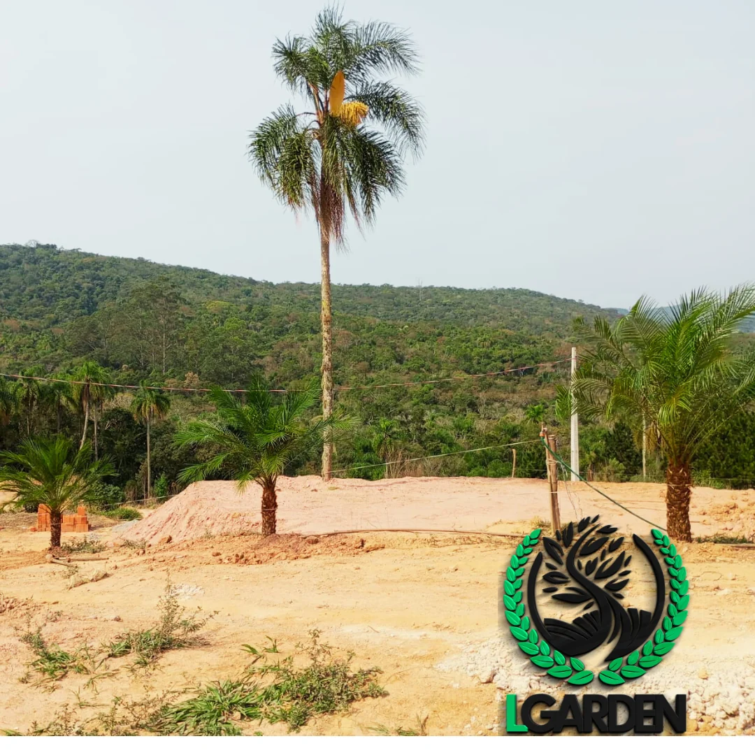 Projeto LGarden
