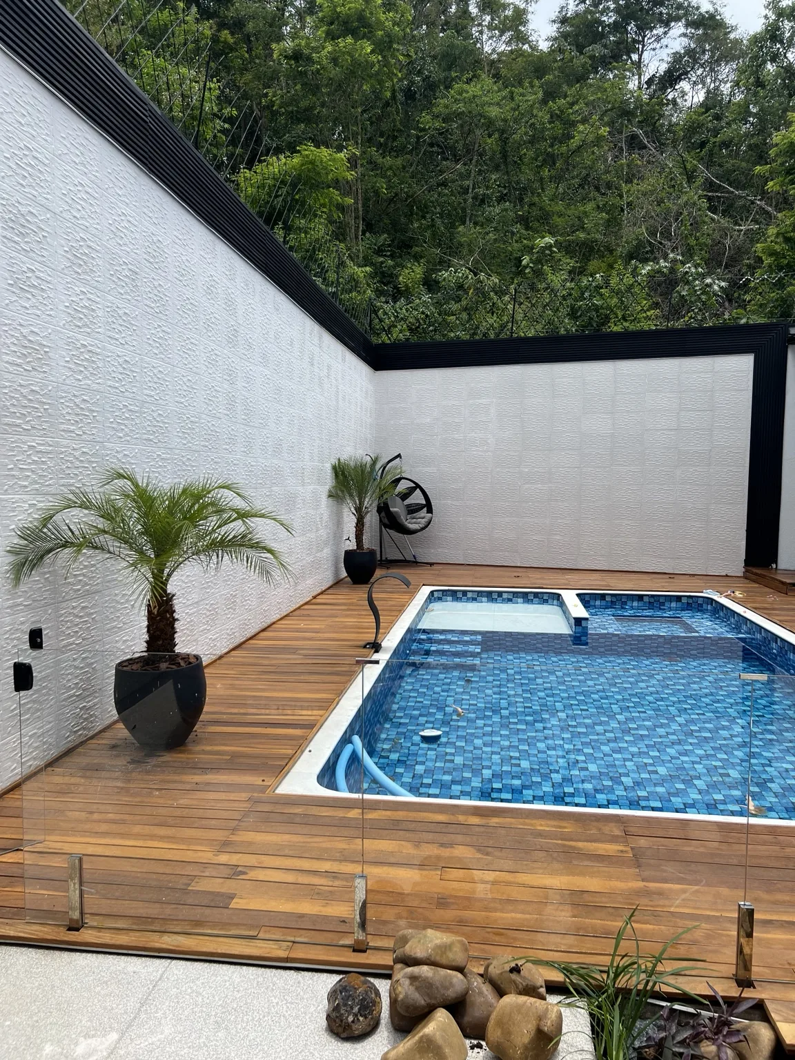 Palmeiras em vasos em área de piscina moderna